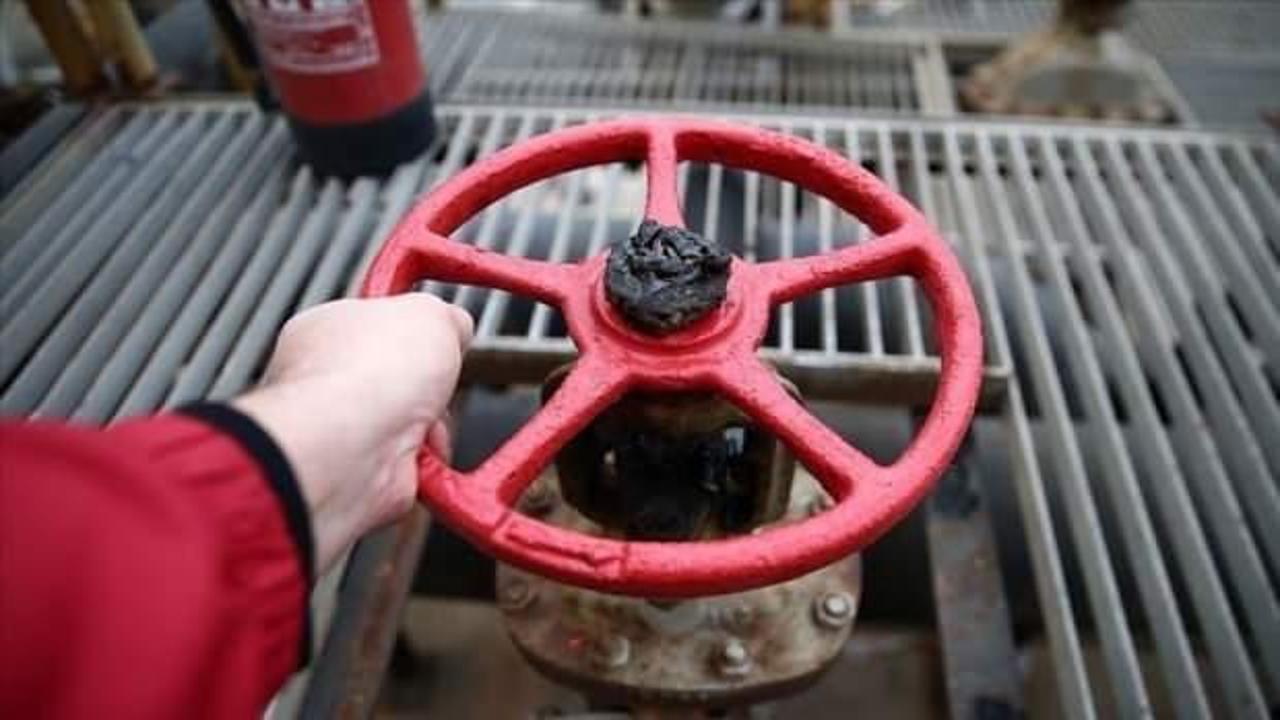 Avrupa'da gaz fiyatları 118,7 avroyu buldu