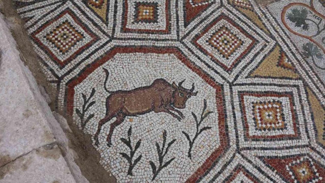 Hadrianaupolis mozaikleriyle Batı Karadeniz'in tarihine ışık tutuyor