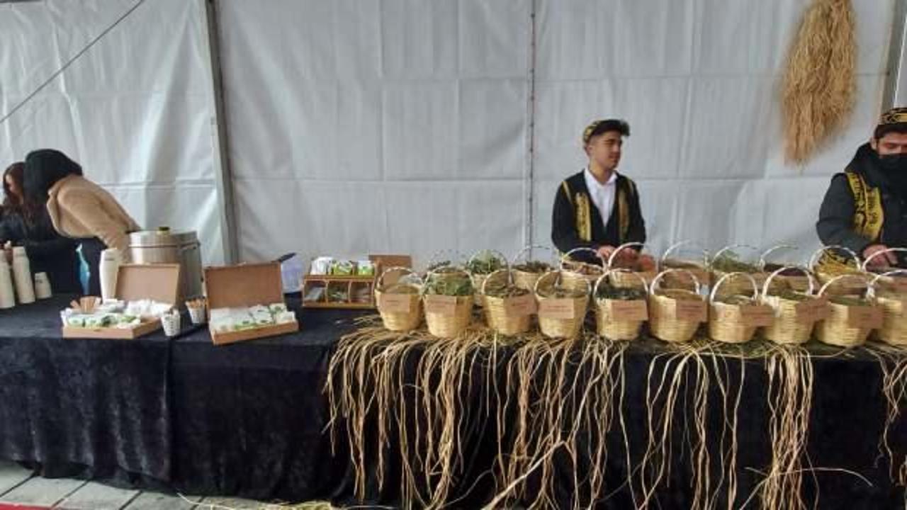 Esenler'de, Dünya Çay Günü'nde 73 çeşit çay ikram edildi