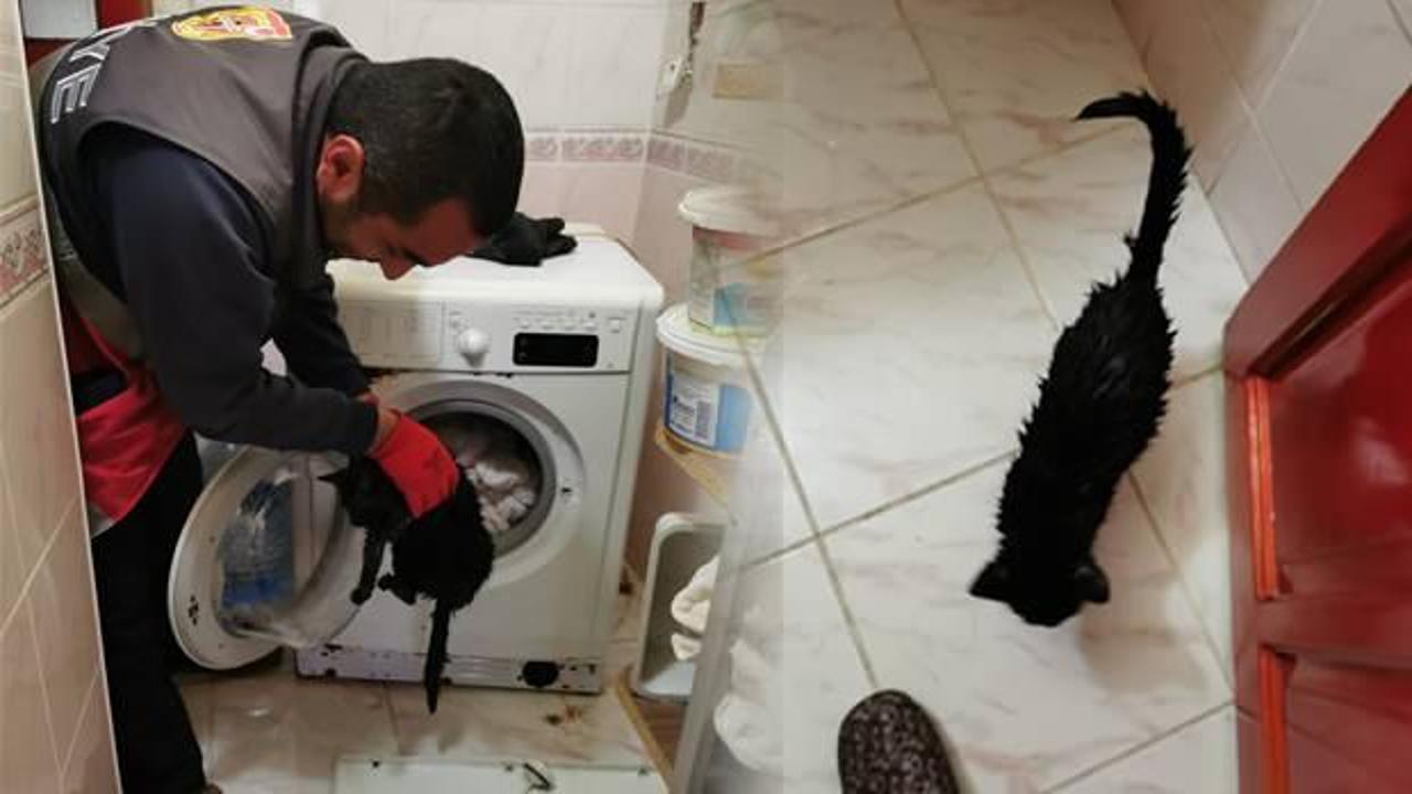 Yorganla beraber kedisini çamaşır makinesine koydu! İtfaiye ekipleri kurtardı