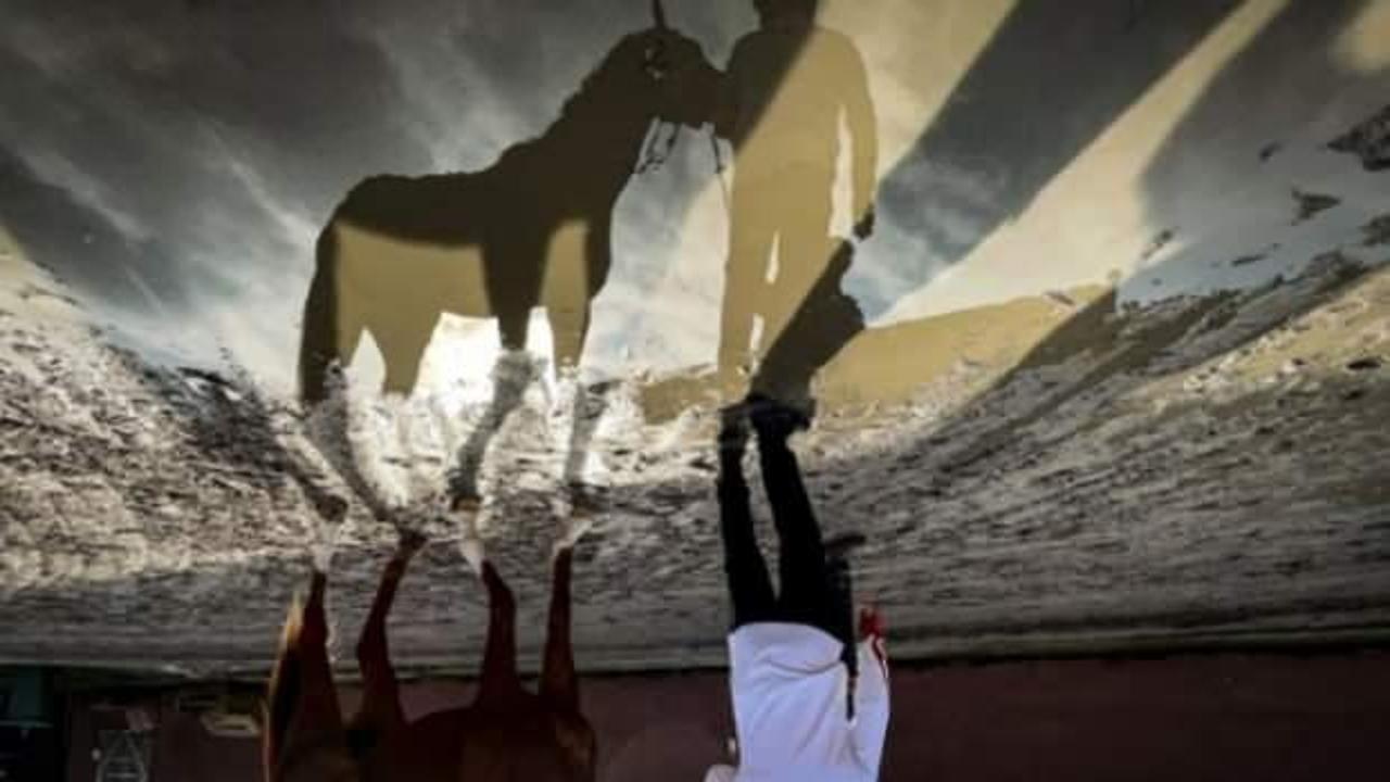 Hipodromda seyis, ringde "demir yumruk" kick boks&ccedil;u