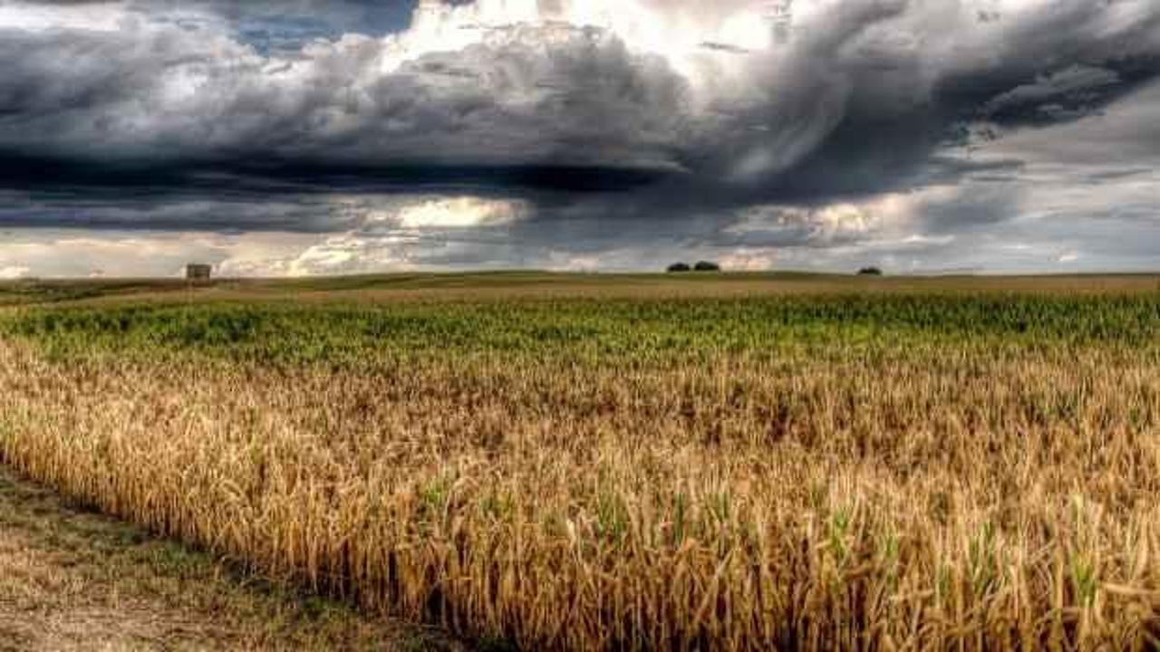Tarımda yağmur sevinci: Geçen seneye göre yüzde 32 arttı