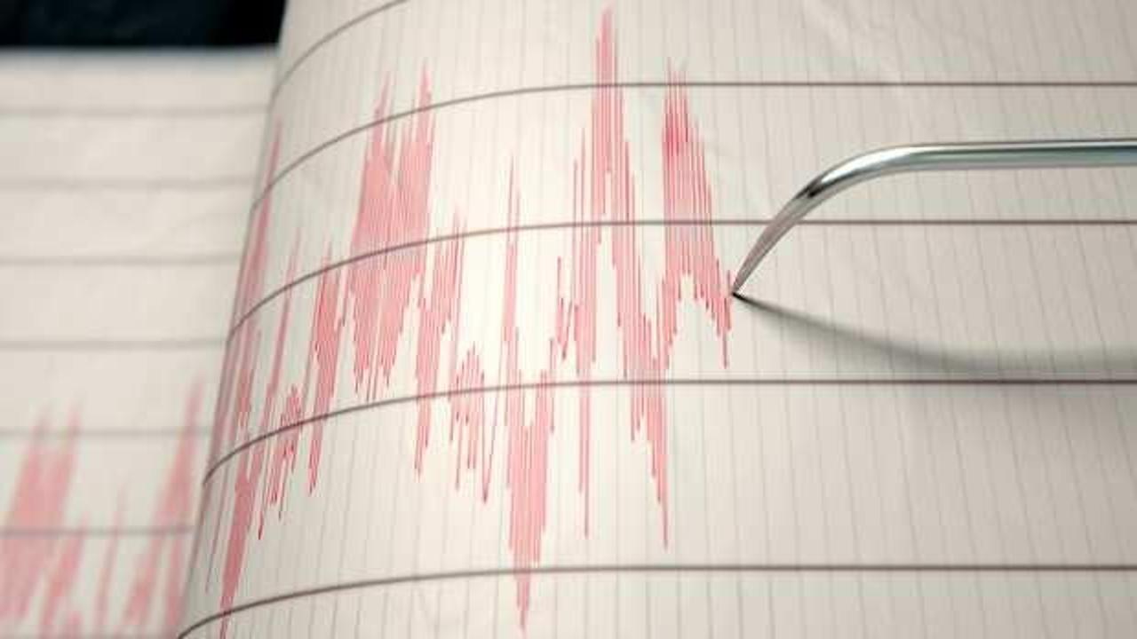 ABD'de depremi uyaran sistem geliştirildi