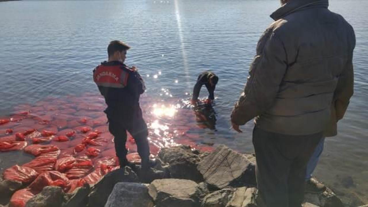 İzmir'de kaçakçılık operasyonu: 2 ton canlı midye denize bırakıldı!