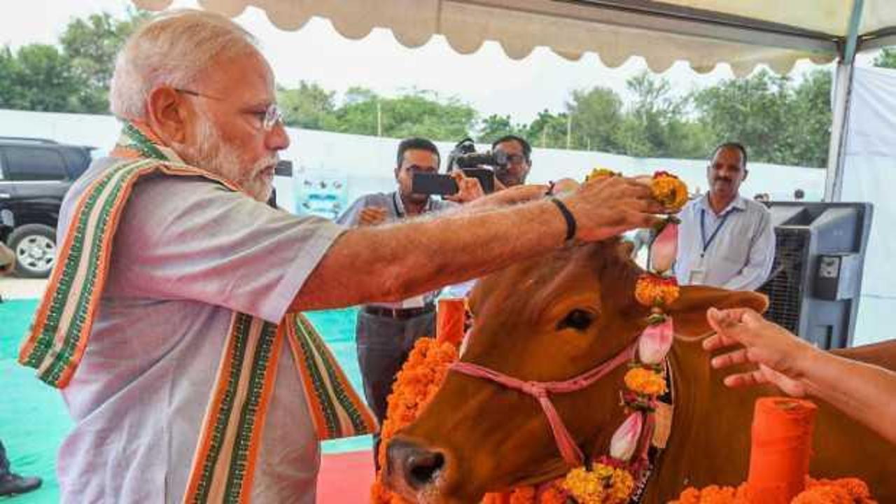 Modi: İnekler bizim i&ccedil;in annedir