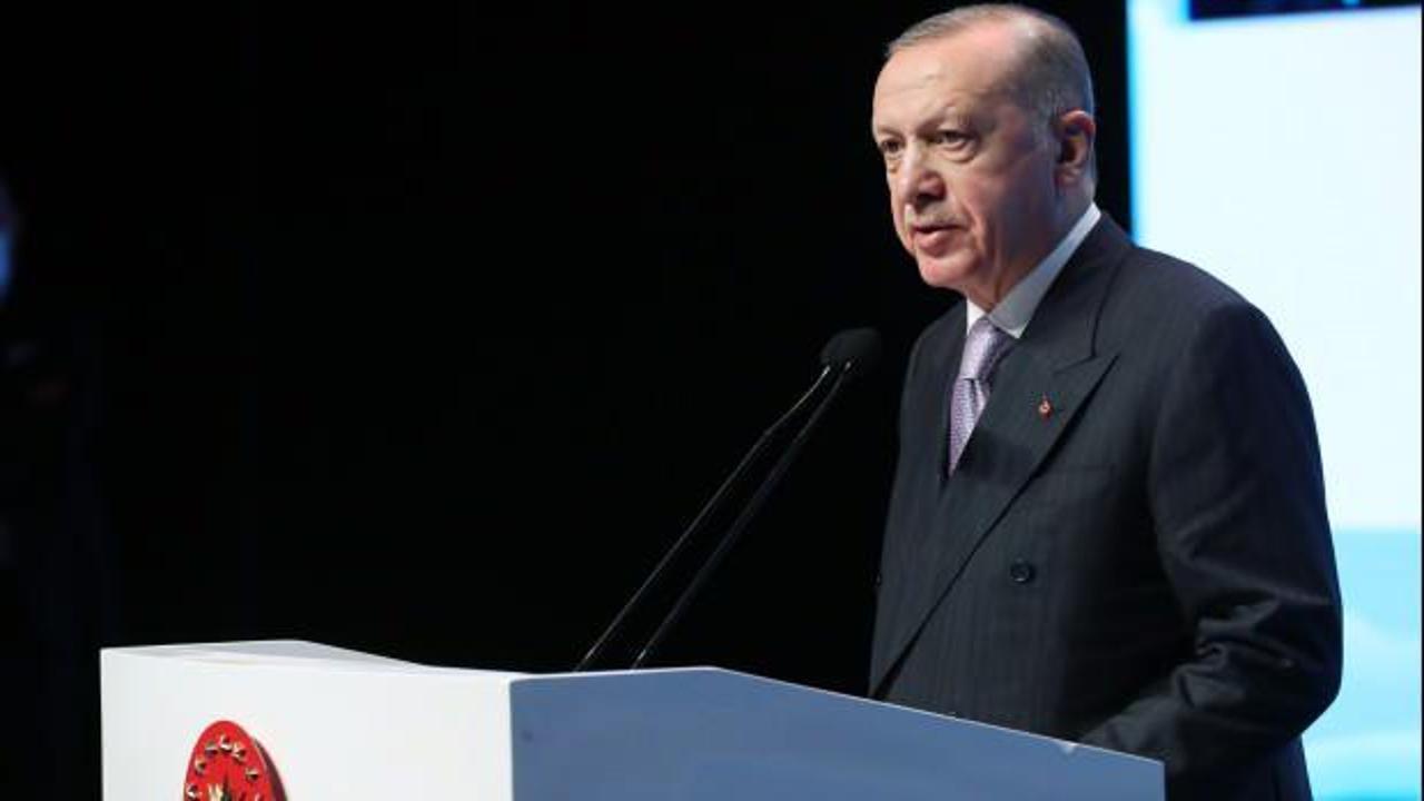 Cumhurbaşkanı Erdoğan'ın hikayesini anlattığı Sunguroğlu konuştu: Bizi çok duygulandırdı