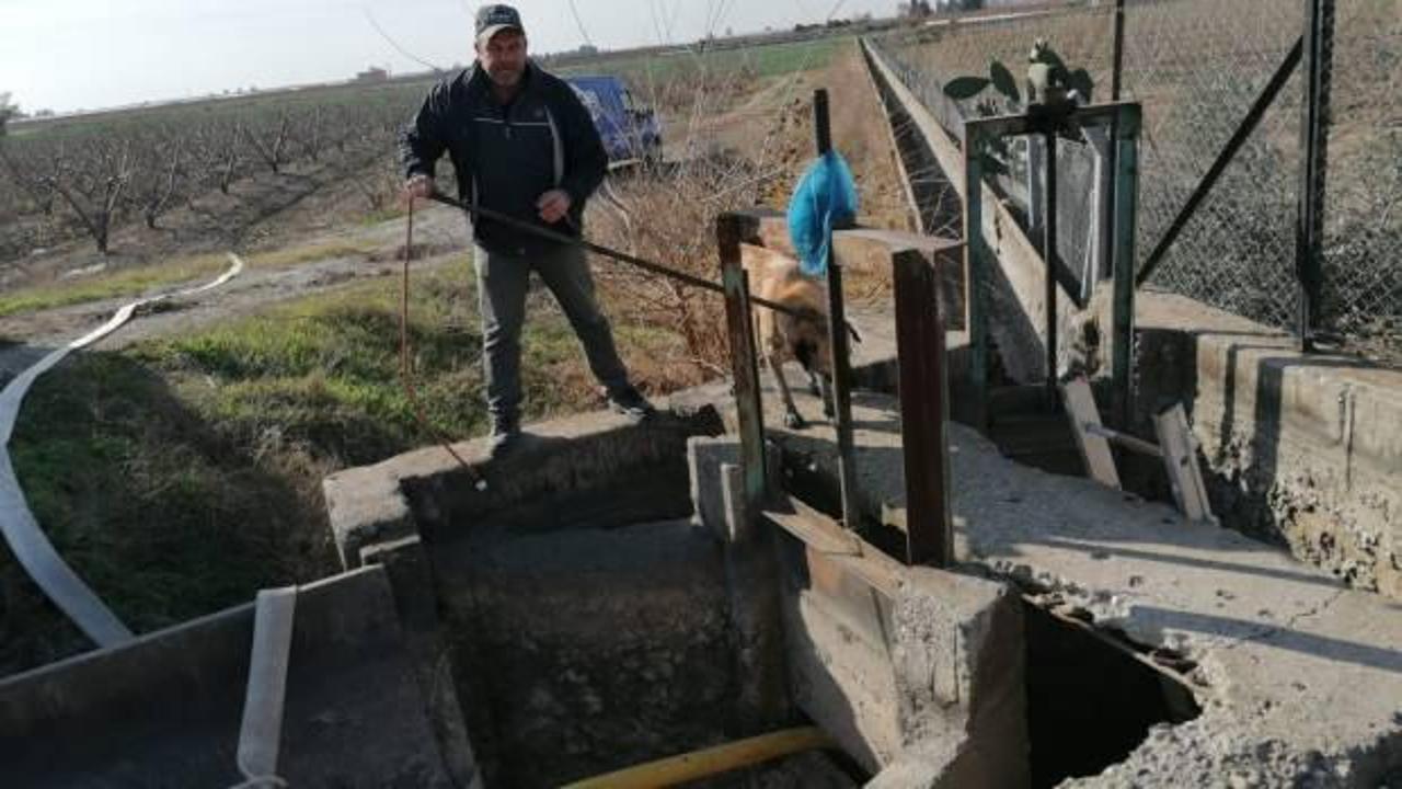 Tarsus&rsquo;ta kanala d&uuml;şen k&ouml;peğin imdadına belediye yetişti