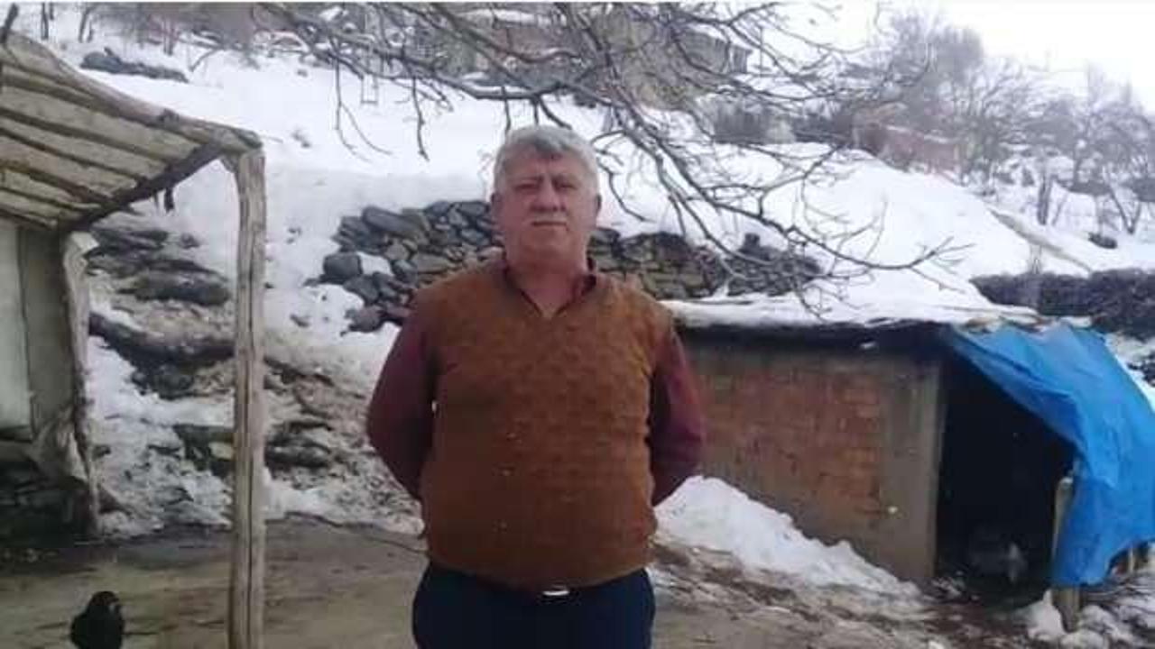 Batman&rsquo;da kimsenin kalmadığı k&ouml;yde, kedilere sahip &ccedil;ıkıyor