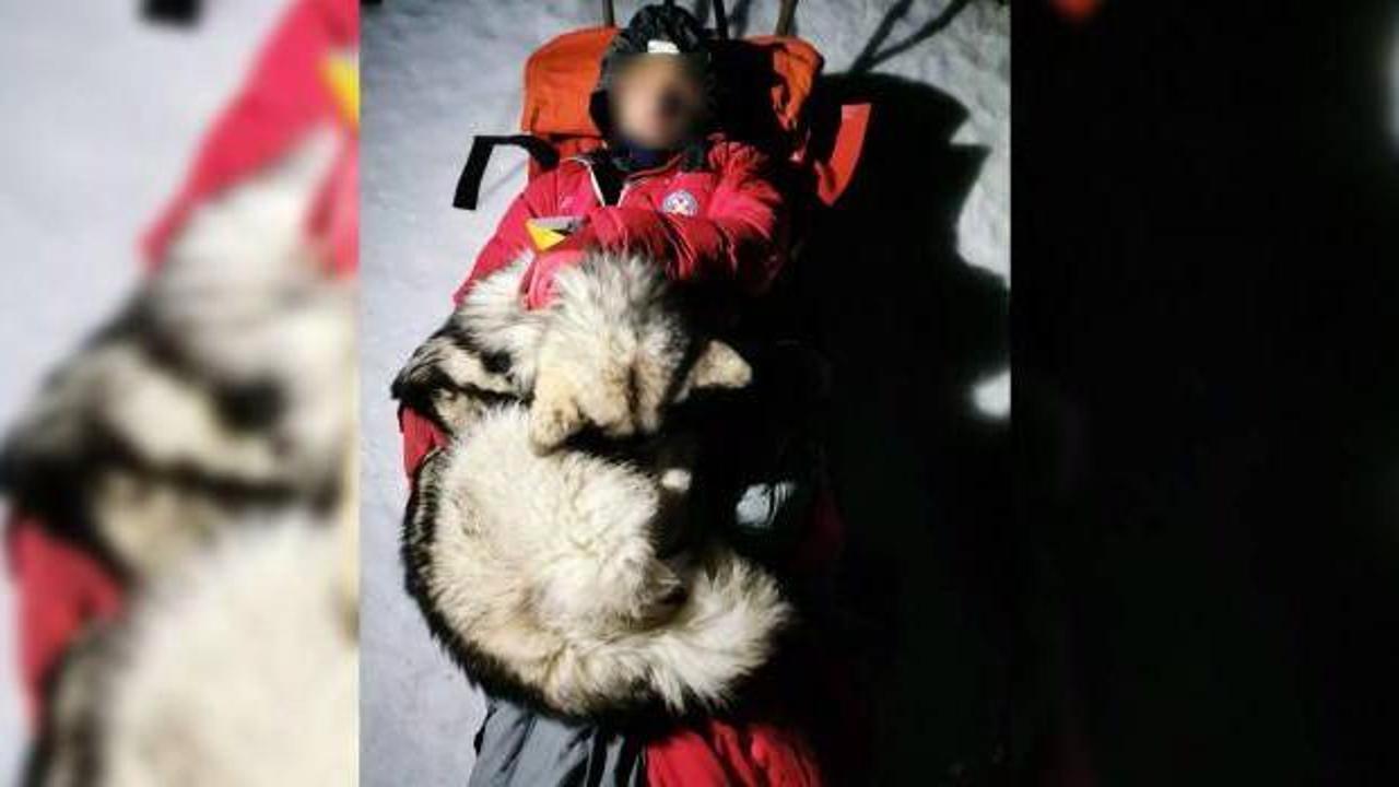 Dağda mahsur kalan dağcının hayatını köpeği kurtardı
