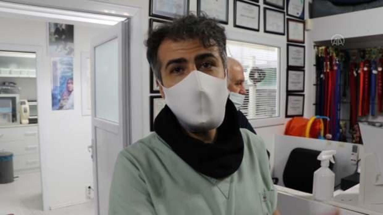 Edirne&rsquo;de başıboş pitbull kediyi telef etti!