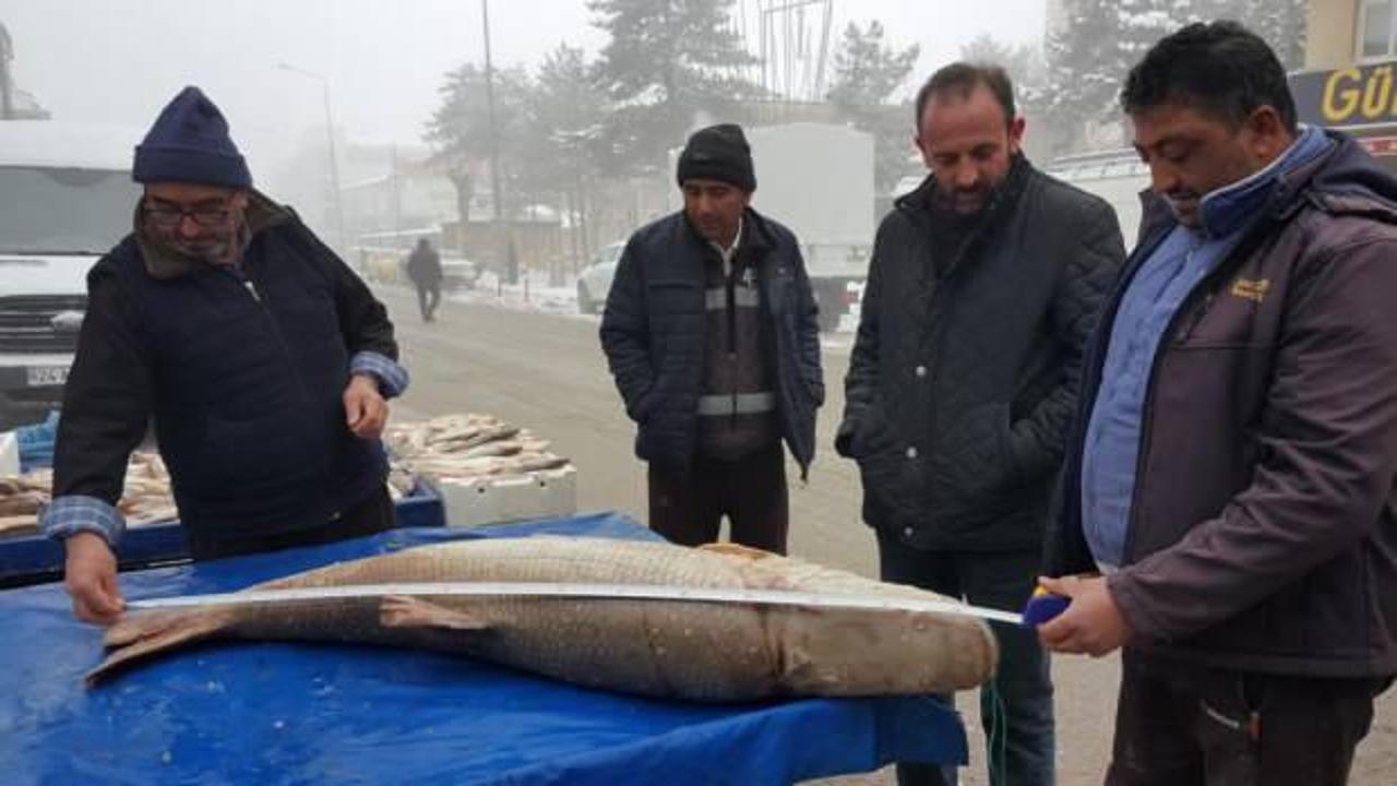 Erzincan'da yakalandı, görenleri şaşkına çevirdi! Kilosu 50 lira