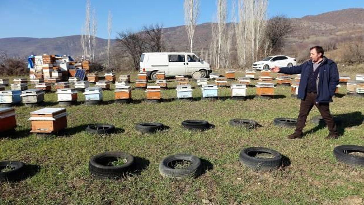 Tokat&rsquo;ta kiraladığı bah&ccedil;eden arıları &ccedil;alındı