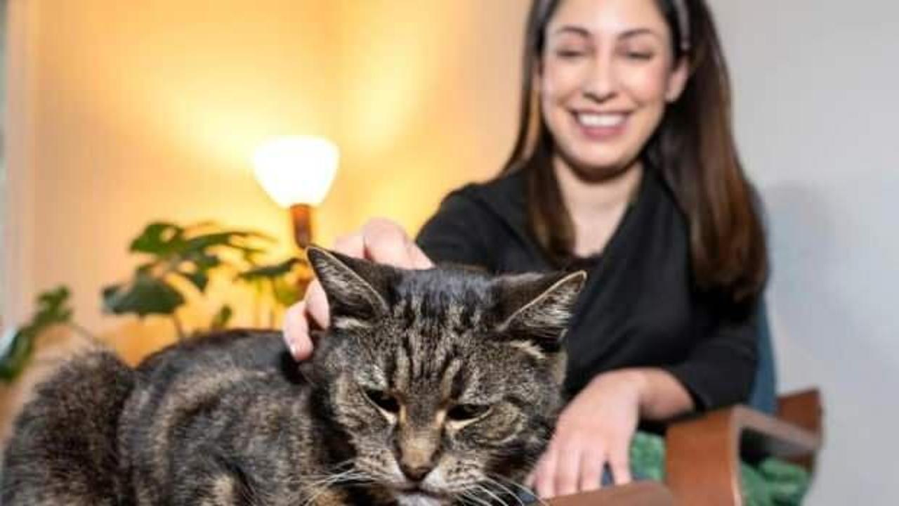 12 yıl önce kaybolan kedi evine döndü