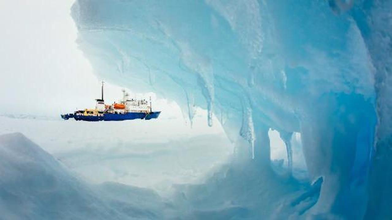 Gemilere tutunan canlılar, Antarktika'nın ekosistemini tehdit edebilir