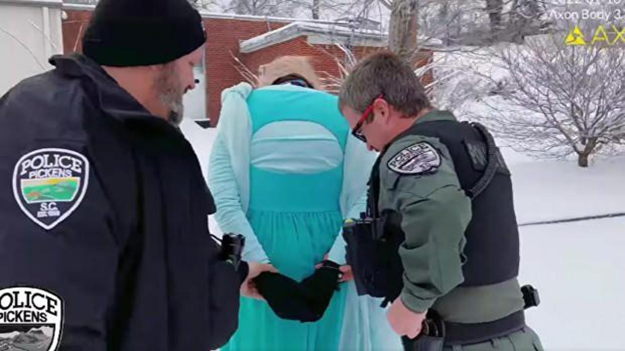 ABD'de "Kraliçe Elsa" gözaltına alındı
