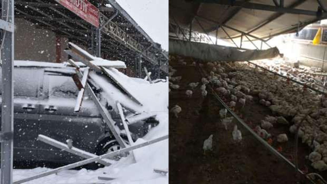 Malatya&rsquo;da &ccedil;atı &ccedil;&ouml;kt&uuml;, 30 bin tavuk &ouml;ld&uuml;! 7 milyon TL&rsquo;lik zarar oluştu