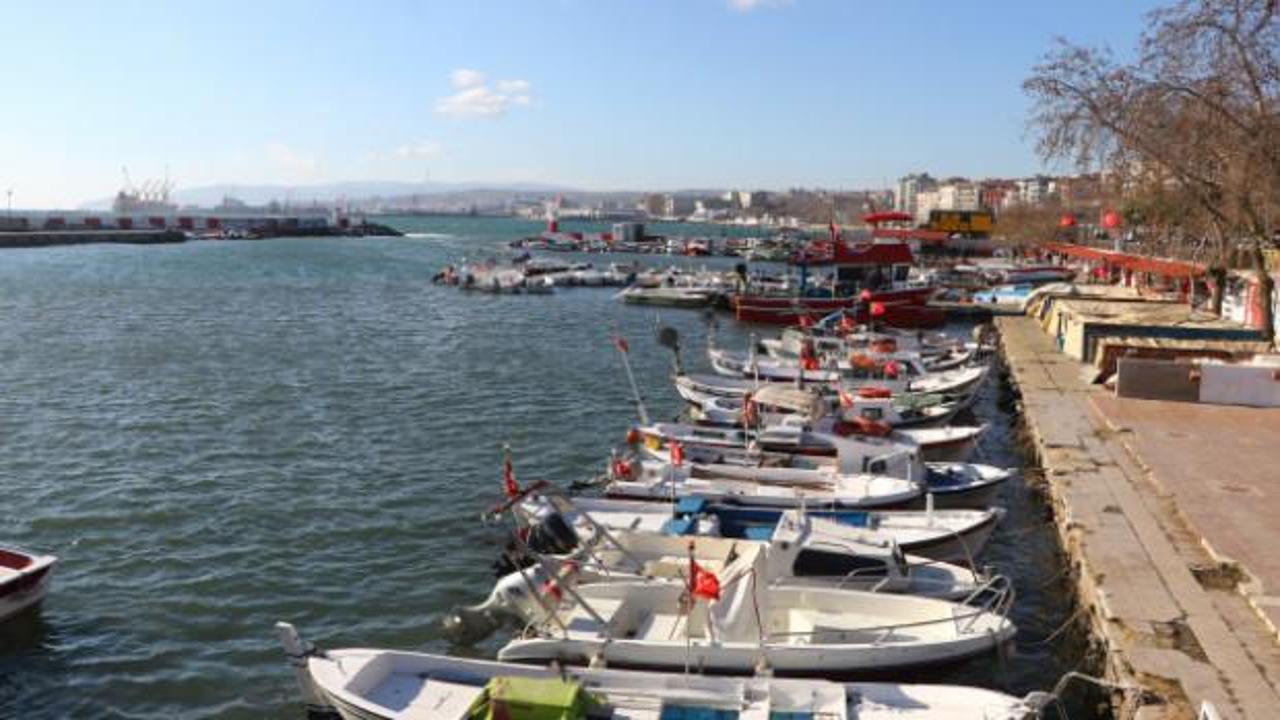 Marmara'da lodos balıkçıları da vurdu