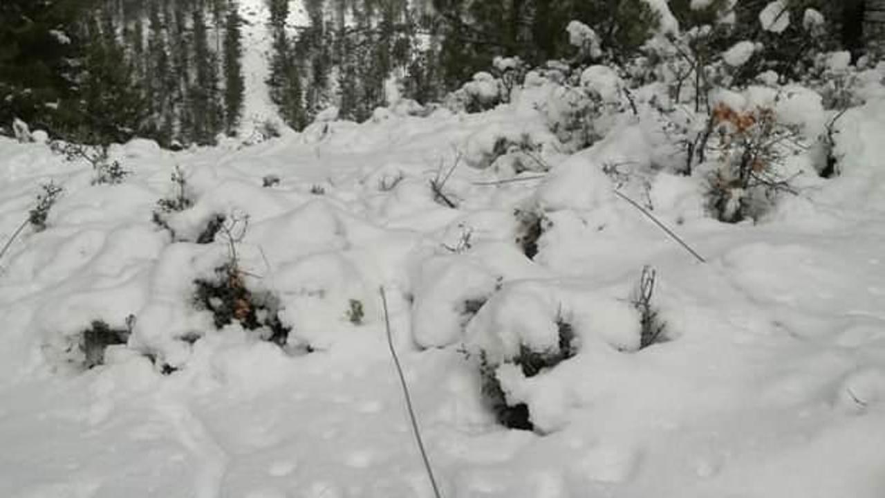 Mersin'de kar 30 kırsal mahalleyi elektriksiz bıraktı