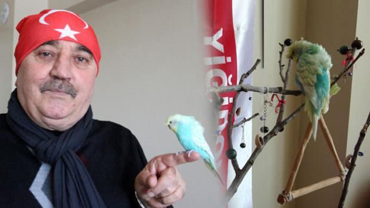 Bu kuş s&ouml;ylediği mehter marşları ile g&ouml;renleri şaşkına &ccedil;eviriyor