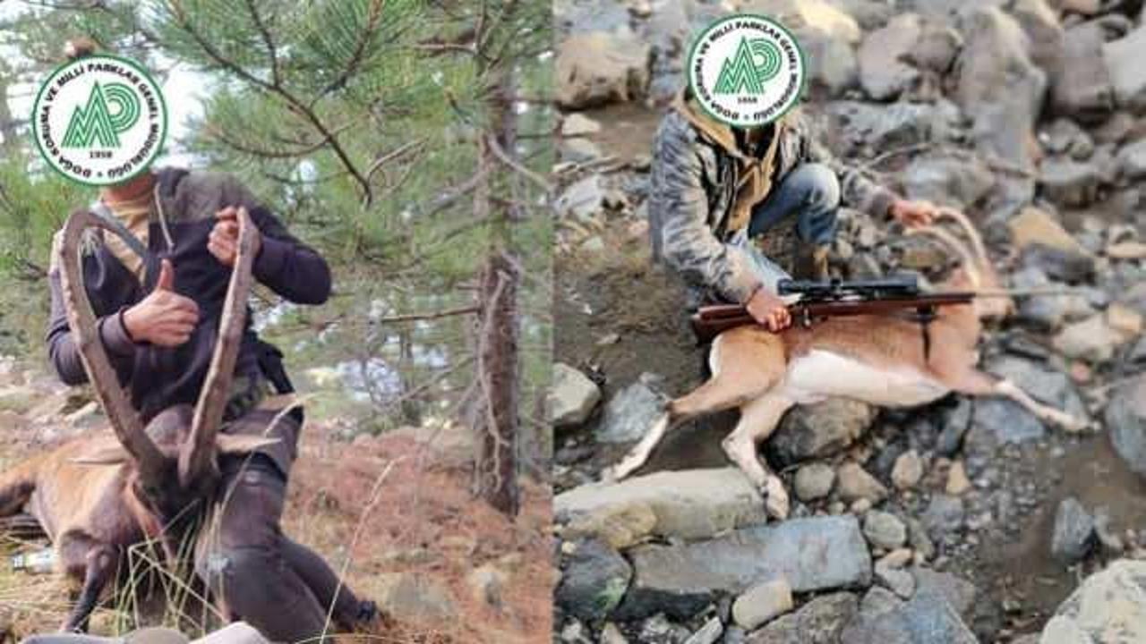 Denizli&rsquo;de 4 yaban ke&ccedil;isini vuran 6 şahıs cezadan ka&ccedil;amadı