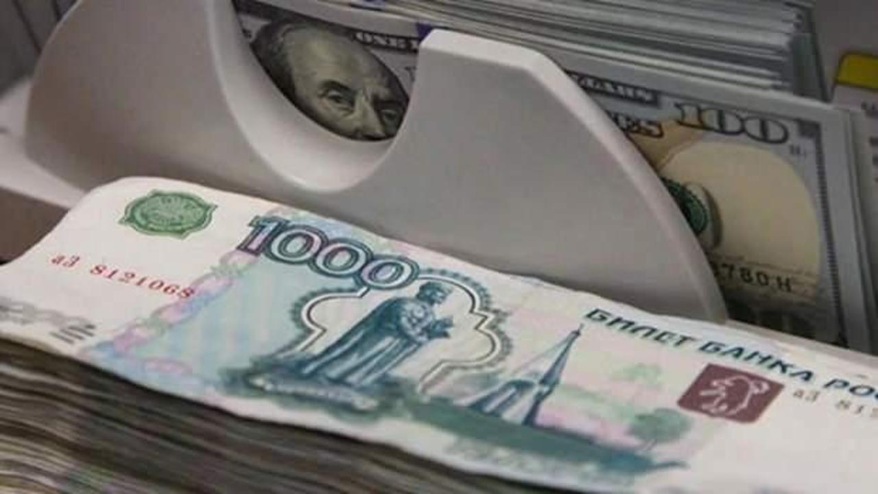Rusya Merkez Bankası, rubledeki değer kaybının ardından döviz alımını durdurdu