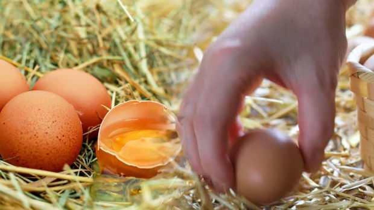 Rüyada yumurta görmek ne anlama gelir? Rüyada yumurta toplamak hayırlı mıdır?