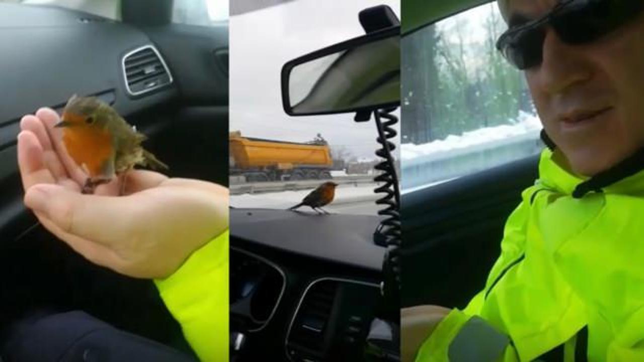 Sakarya&rsquo;da polisten &ouml;rnek hareket! Donmak &uuml;zere olan kuşa şefkat eli