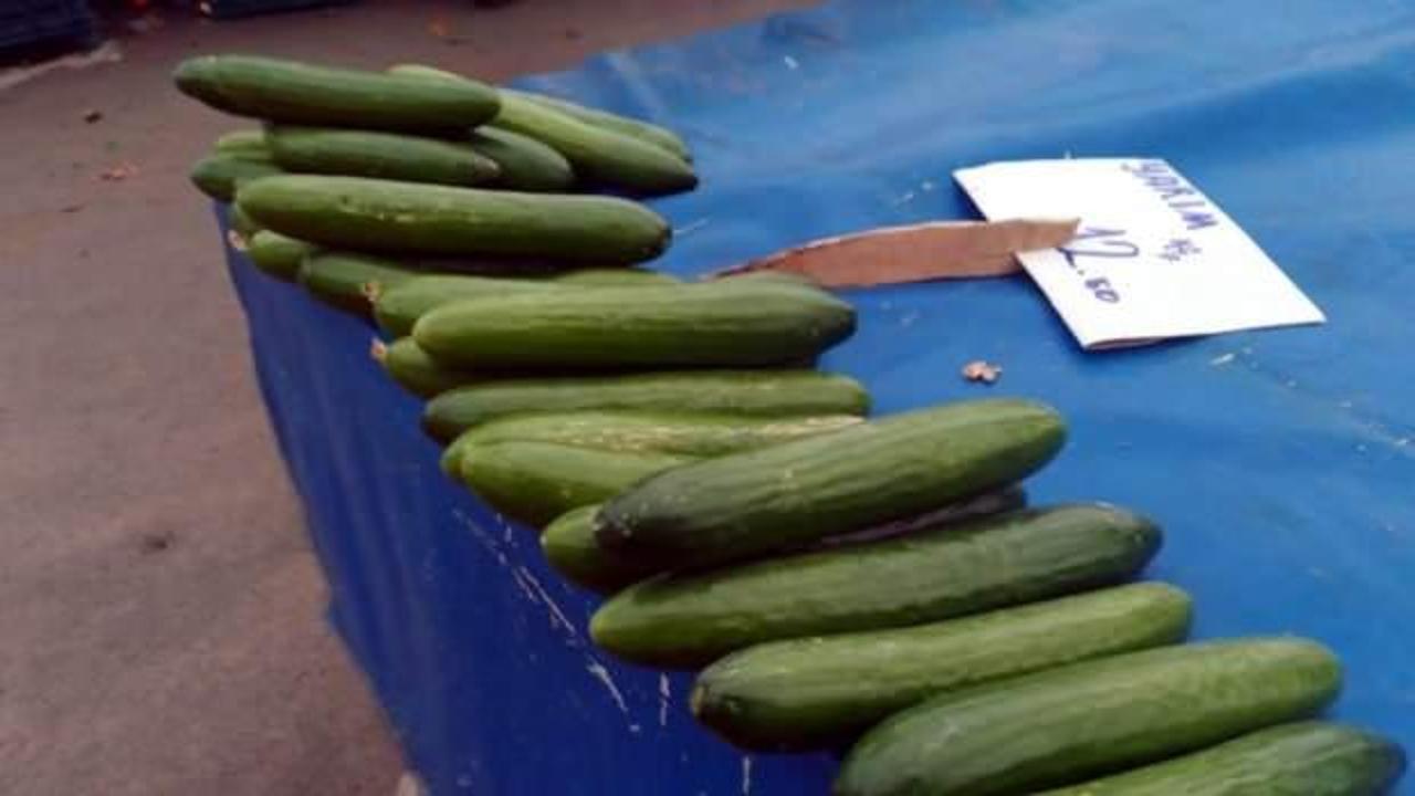 Kayseri pazarlarında salatalığın kilosu 25 lira oldu