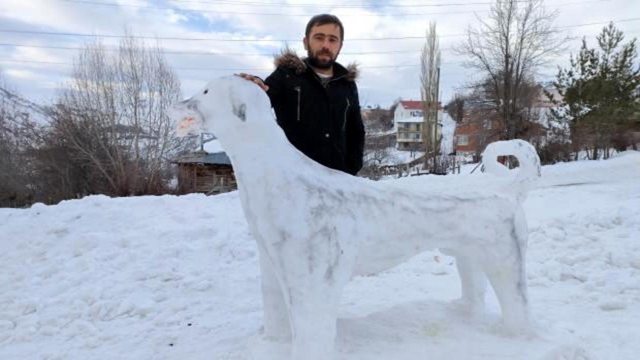 Sivas&rsquo;ın kardan Kangal K&ouml;peği ilgi odağı oldu 