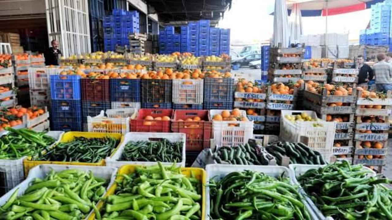 Cep yakan sebze fiyatları geriledi: Salatalık 35 TL'den 13 TL'ye düştü