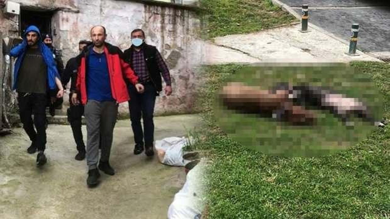 Besledikleri 2 pitpull kendilerine saldırınca &ouml;ld&uuml;rd&uuml;ler! 29 bin TL de ceza kesildi