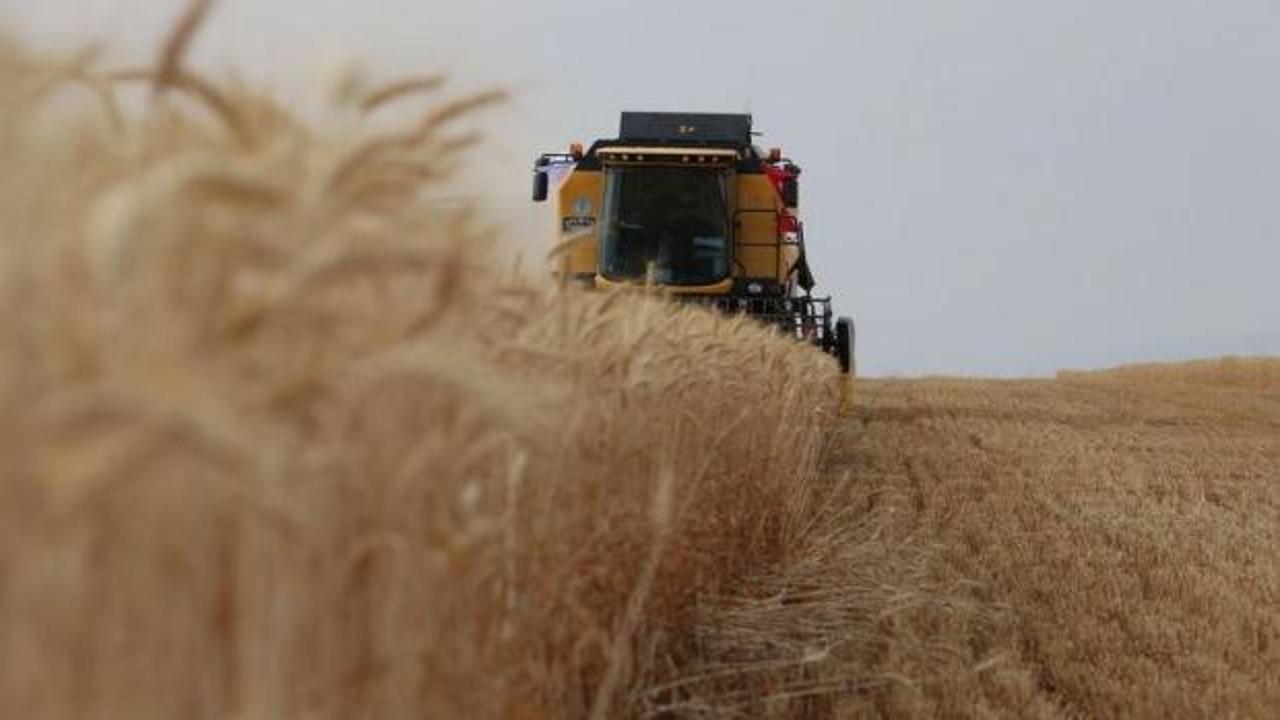 BM'den acil buğday uyarısı