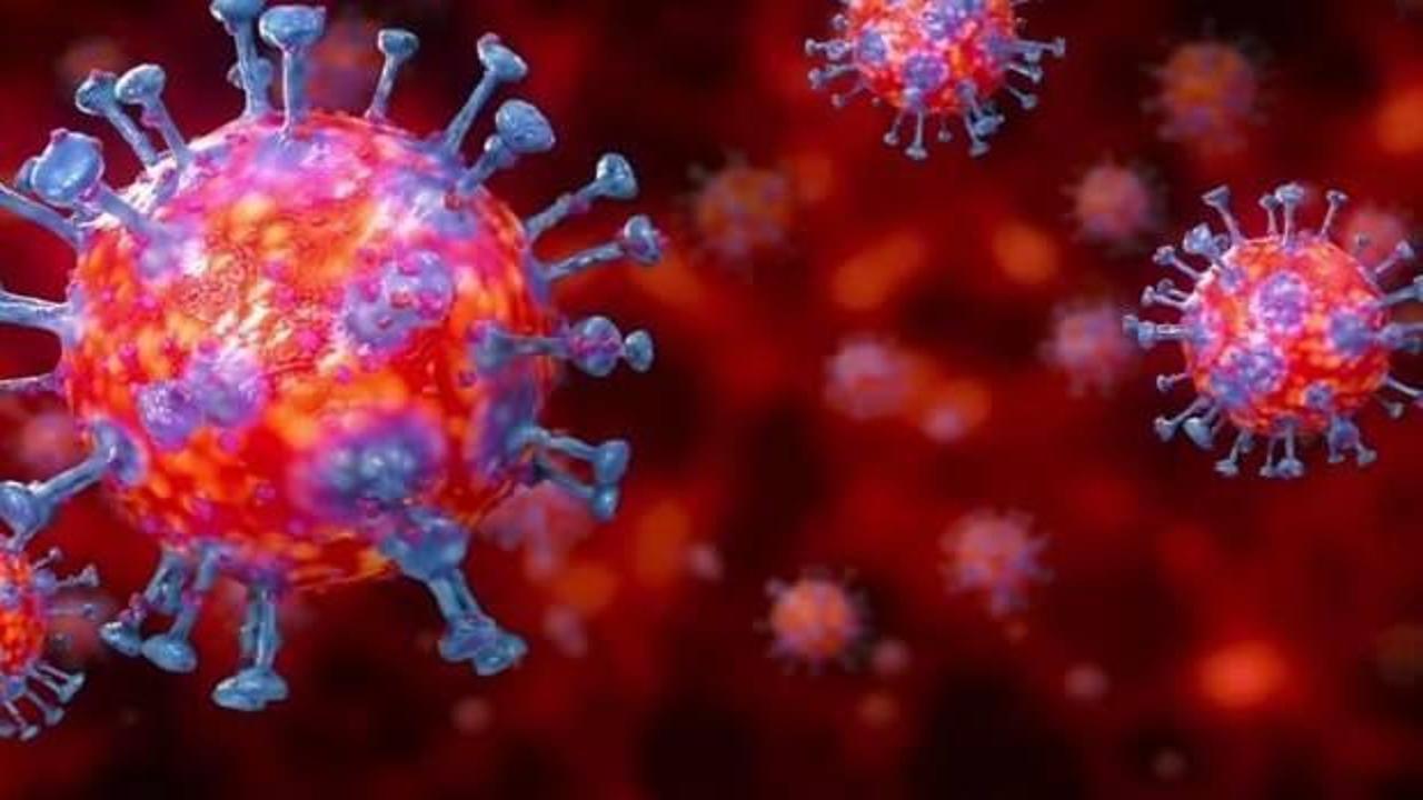 Son dakika: 26 Şubat koronavirüs tablosu açıklandı!
