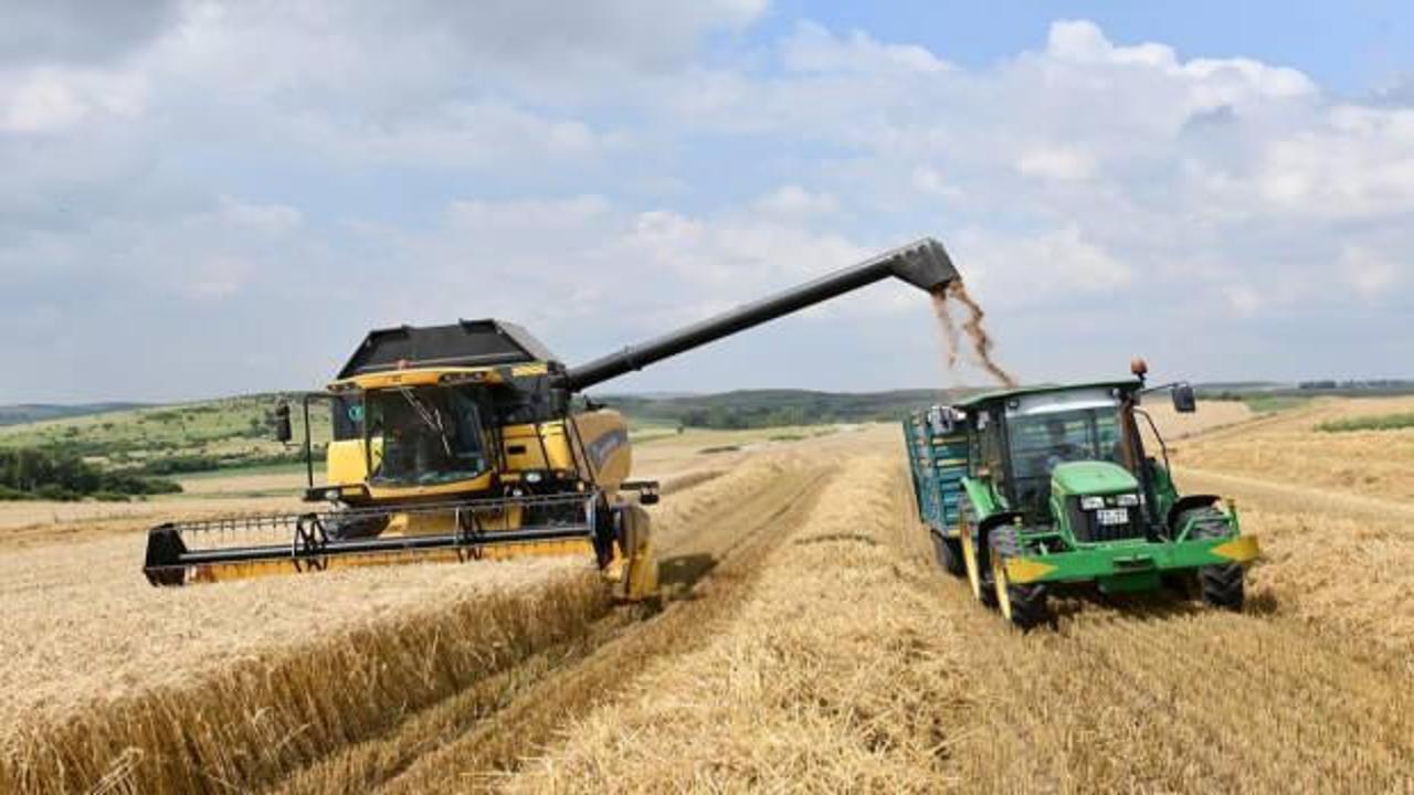 Ukrayna'dan tarım ürünleri ithalatına istisna