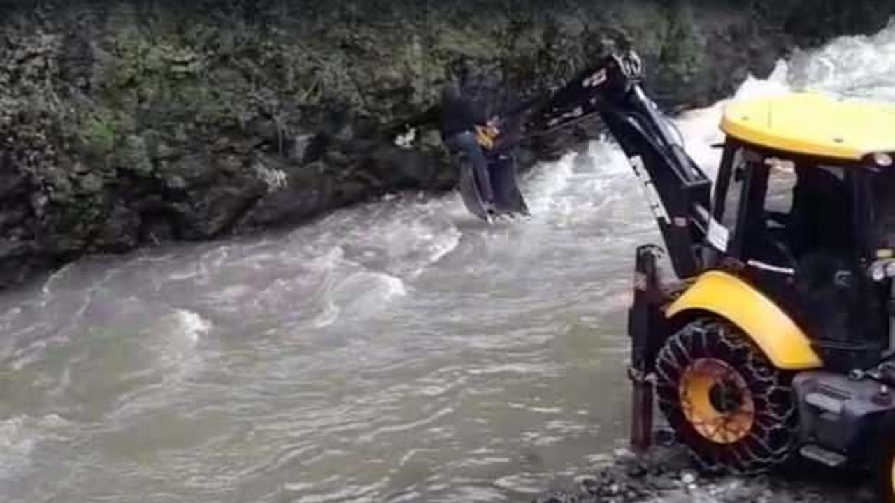 Trabzon&rsquo;da dereye d&uuml;şen kedinin imdadına Şalpazarı Belediyesi ekipleri koştu