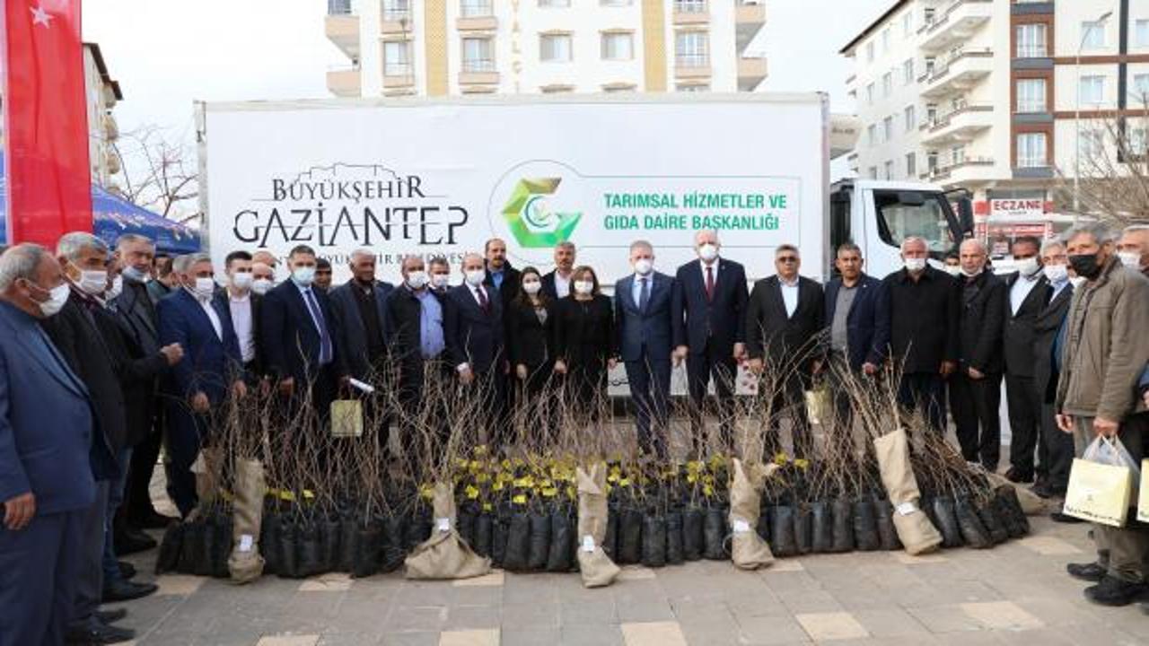 Gaziantep Büyükşehir Belediyesi'nden Oğuzeli çiftçisine fidanı desteği