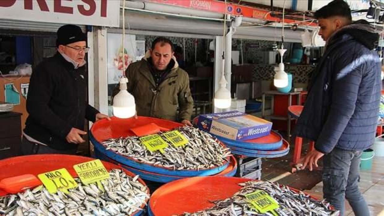 Marmara Denizi'nde umduğunu bulamayan balıkçılar rotayı Ege'ye çevirdi