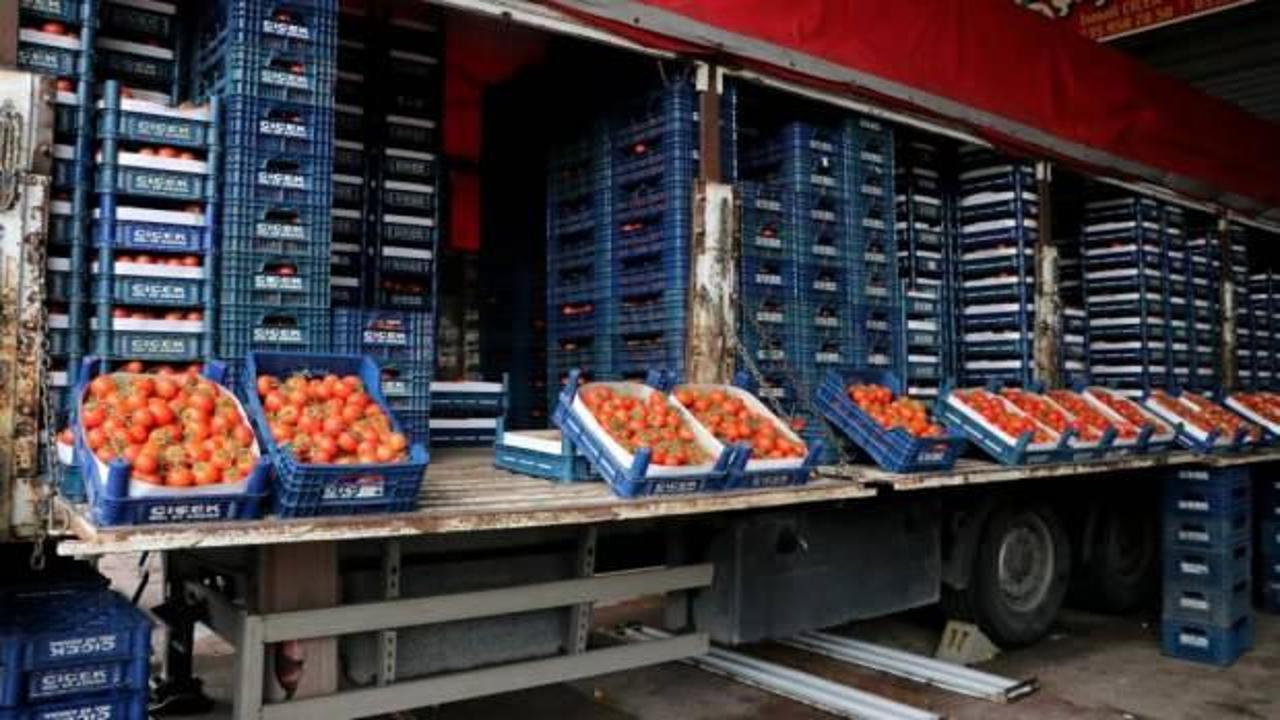 Rusya-Ukrayna krizi domatesin kilosunu 4 liraya düşürdü
