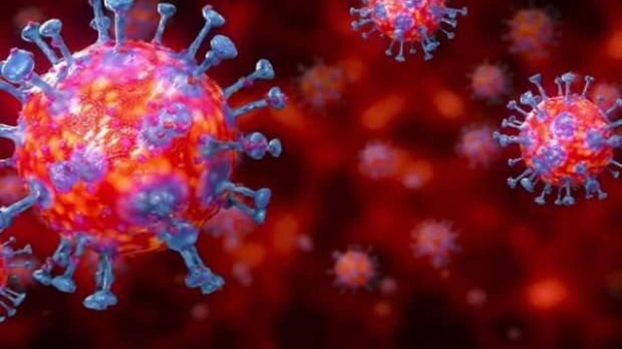 Son dakika: 6 Mart koronavirüs tablosu açıklandı! 