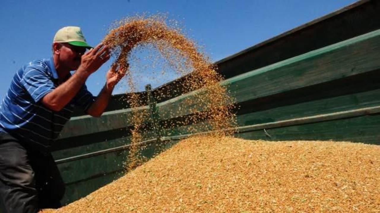 Komplo teorileri yapanlara kötü haber: 20 milyon ton buğday yolda