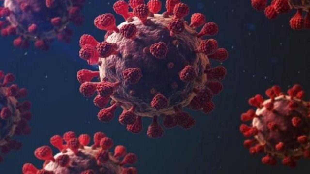 Son dakika: 11 Mart koronavirüs tablosu açıklandı! 