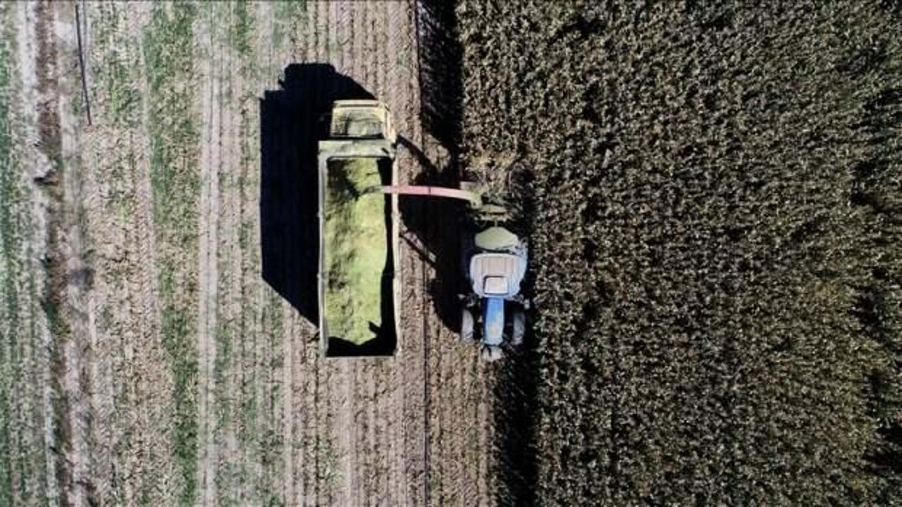 Rusya-Ukrayna savaşı tarıma 'pozitif ayrımcılık' adımlarını hızlandırdı