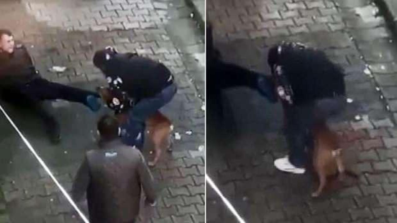İstanbul'daki pitbull saldırısına ilişkin 2 kişi tutuklandı