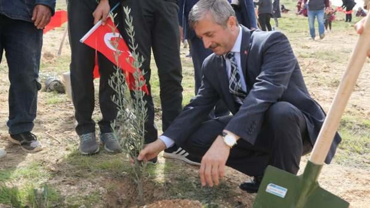 Şahinbey Belediyesi daha yeşil bir Gaziantep i&ccedil;in fidanlar toprakla buluşturdu