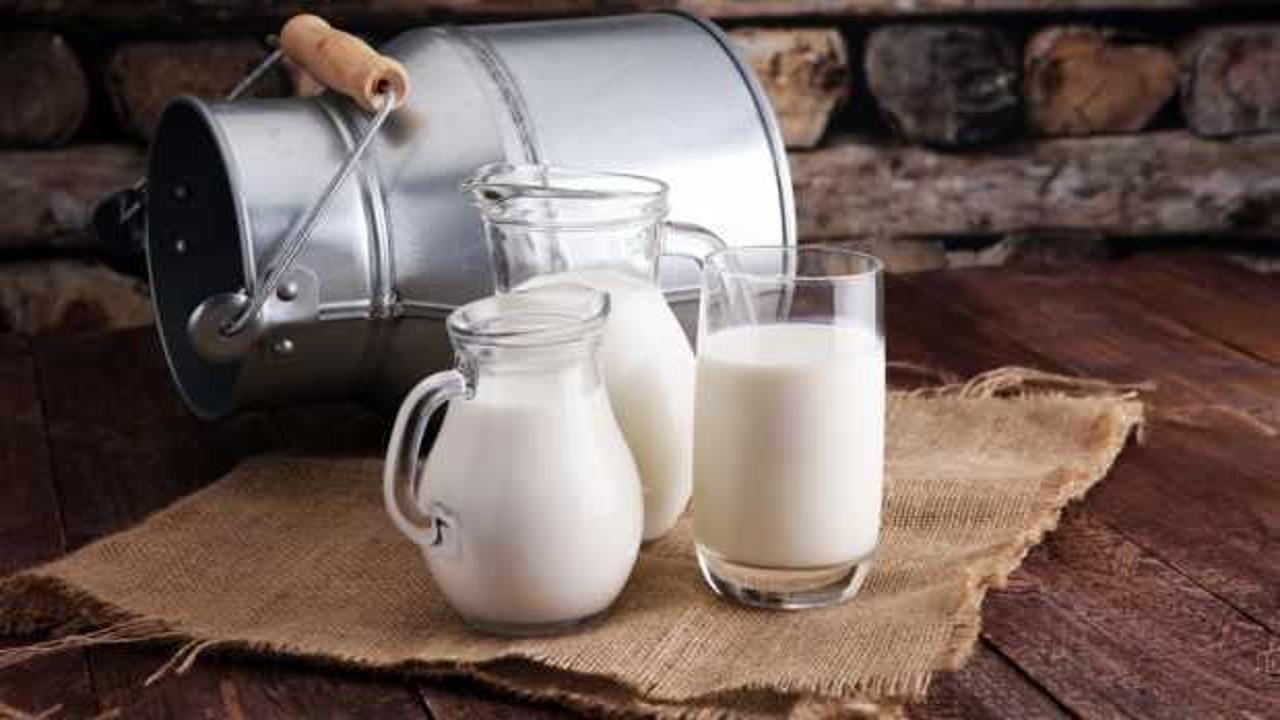 Süt ve süt ürünlerindeki ihracat yüzde 450 arttı