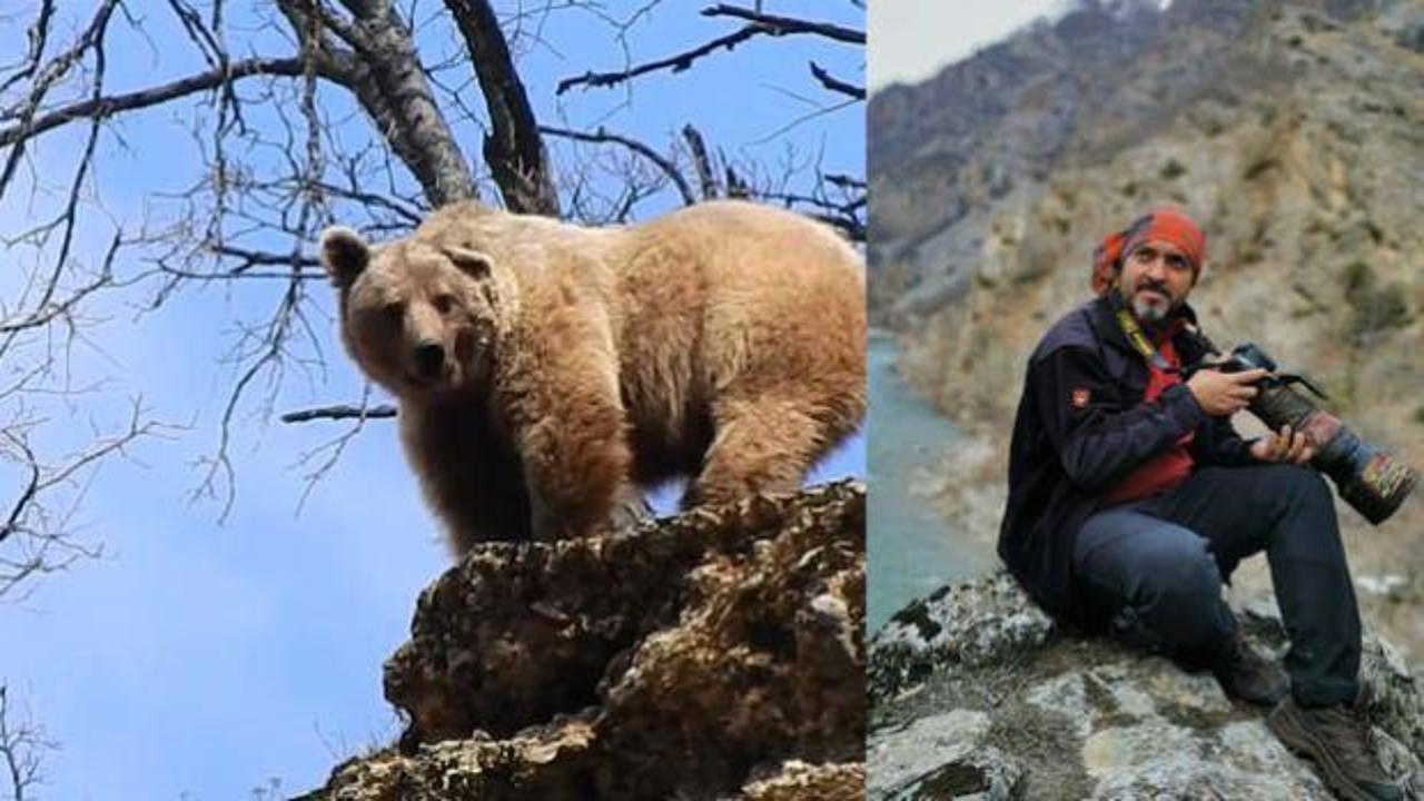 Tunceli&rsquo;de kış uykusundan uyanan bozayı adeta poz verdi 
