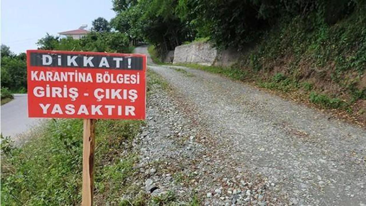 Denizli'de şap hastalığı sebebiyle 7 mahalle karantinaya alındı