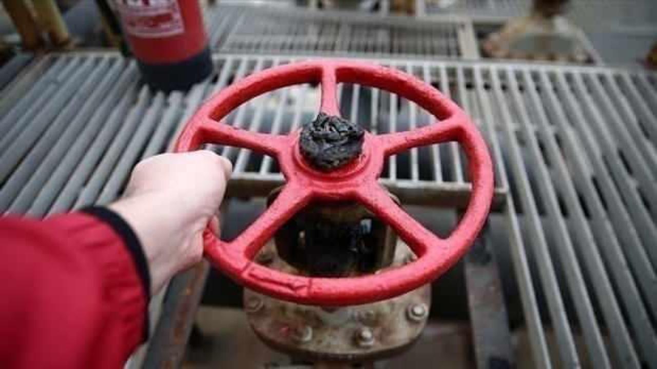 Litvanya, Rusya&rsquo;dan doğal gaz alımını tamamen durdurdu