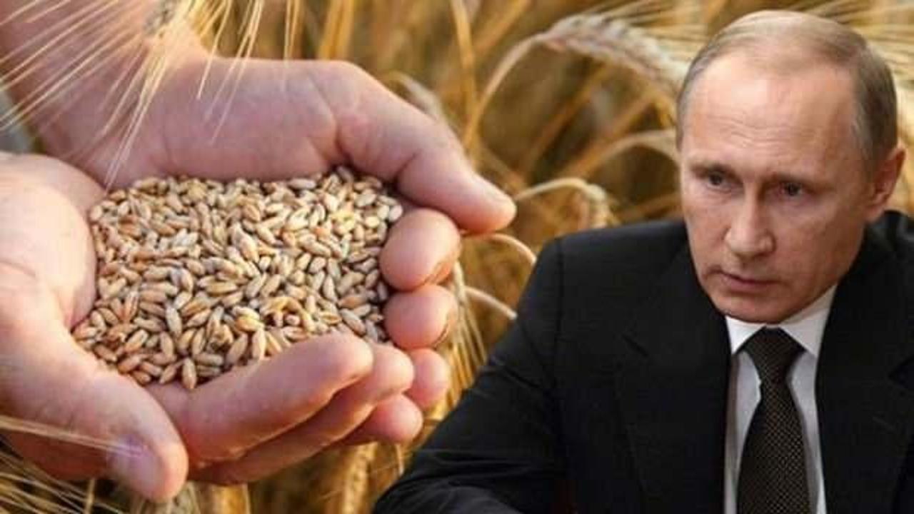Putin buğdayı silah olarak kullanabilir
