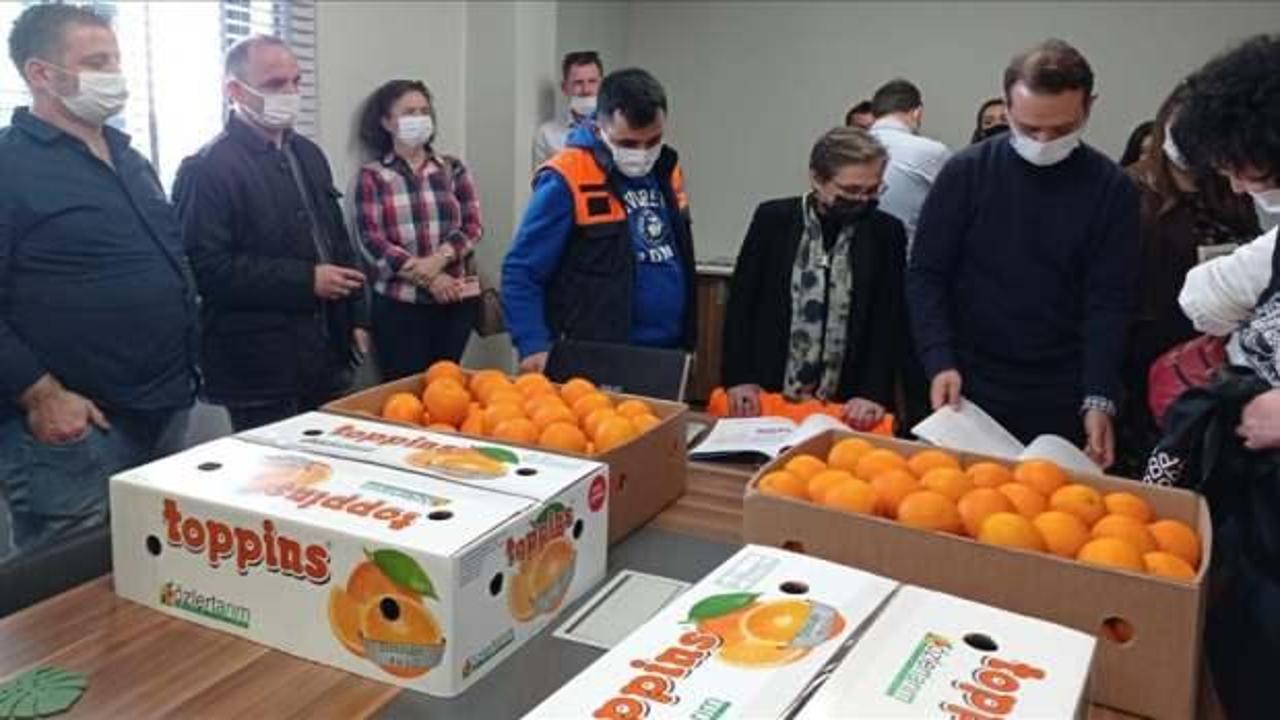 Rusya heyeti, Adana'da yaş sebze ve meyve tesislerinde incelemelerde bulundu